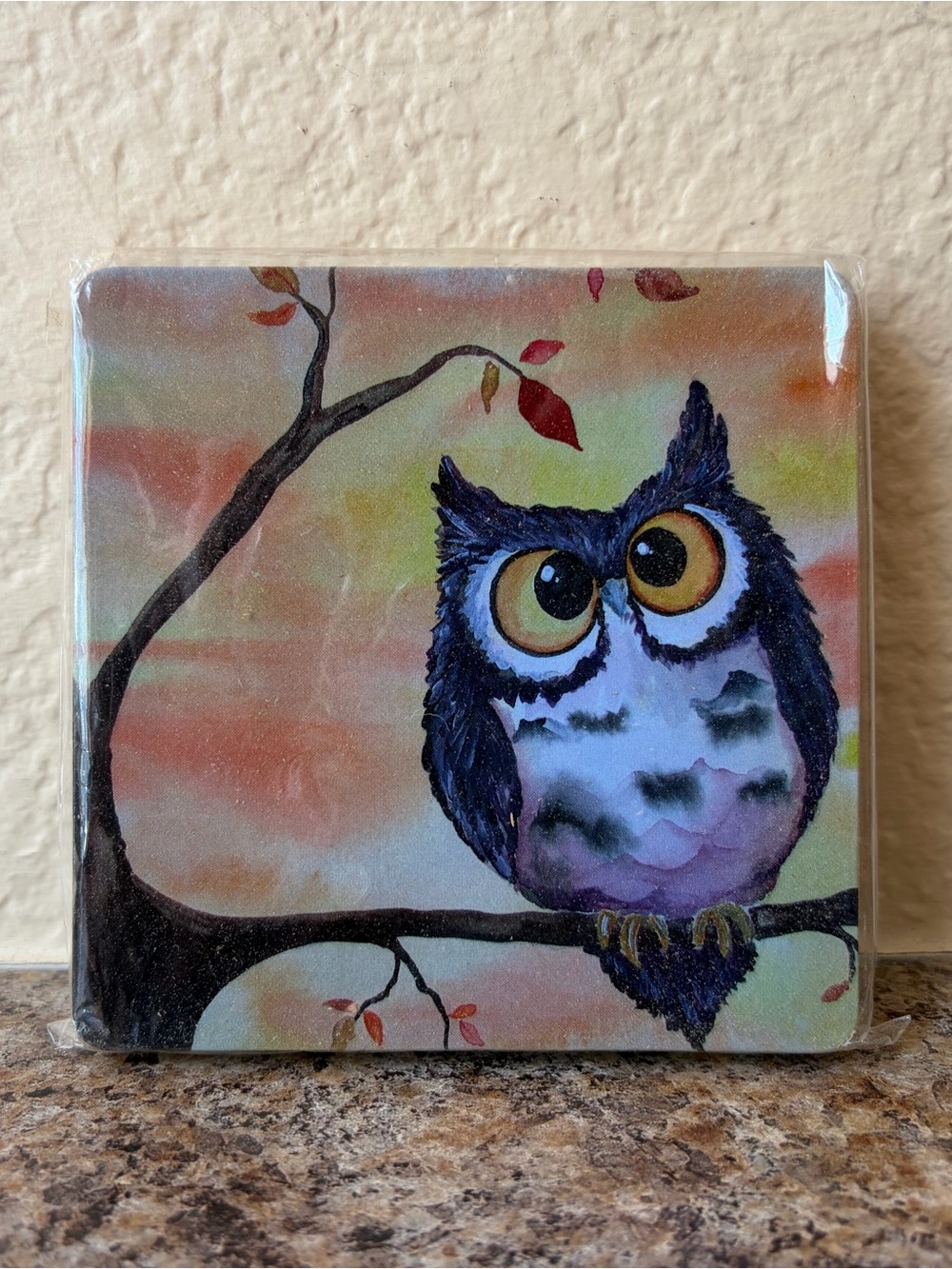 🦉Whimsical Owl Cork Coaster Set